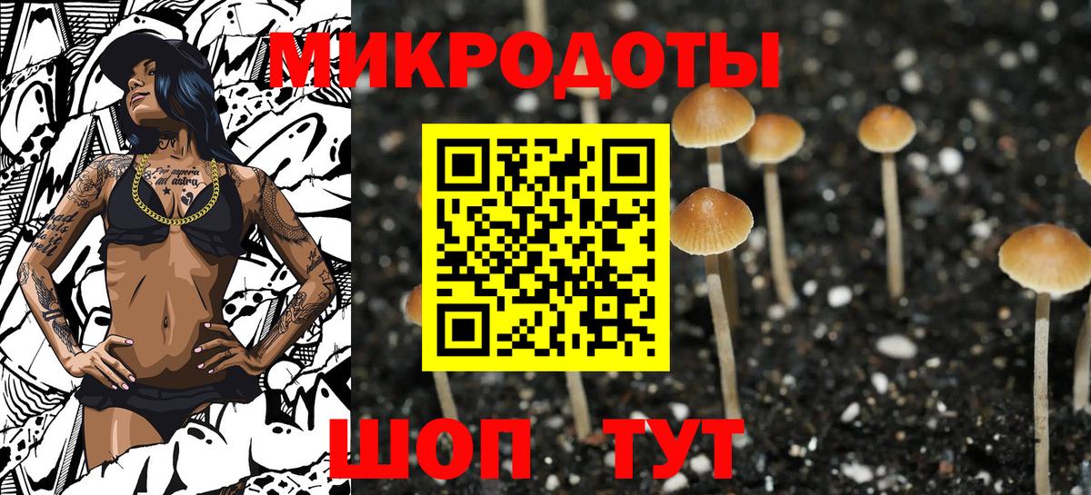 Галлюциногенные грибы мухоморы  Галлюциногенные грибы MAGIC MUSHROOMS  Вход с VPN  цена наркотик  Таганрог 