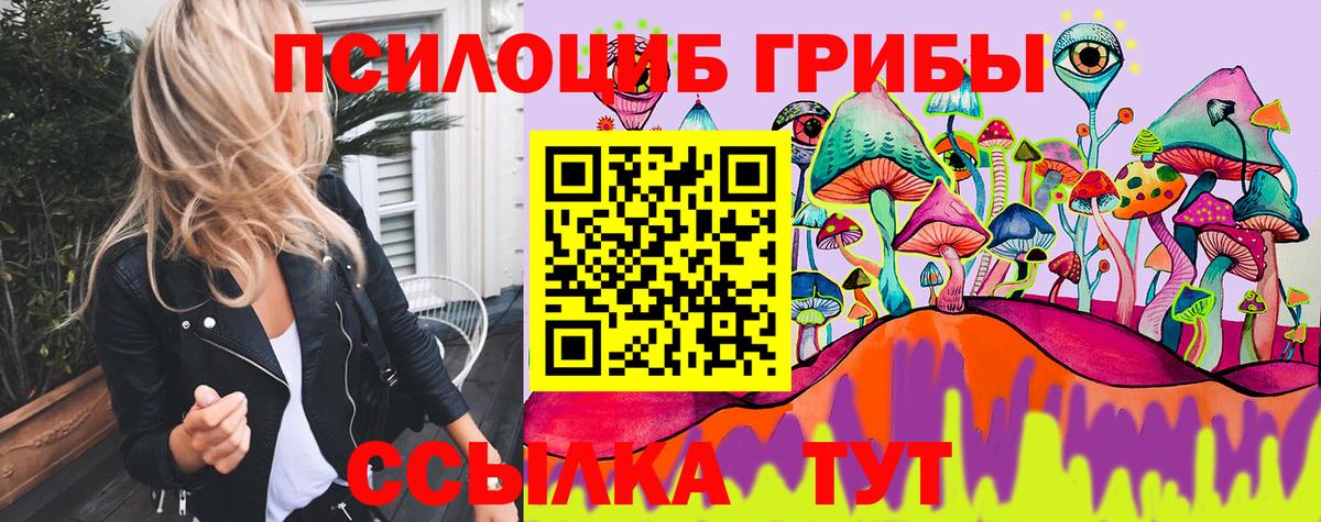 Галлюциногенные грибы Psilocybe Таганрог